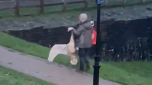 Moment man drags a swan through a park by its NECK in 'sickening' attack before he is confronted by...