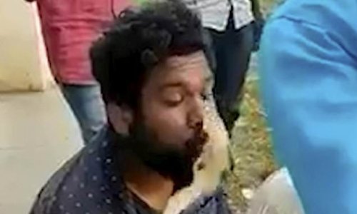 Sealed with a HISS: Deadly cobra lunges at Indian snake-catcher’s face and bites him after he tried to KISS it