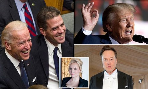 MEGHAN MCCAIN: Musk's huge Twitter reveal proves Biden put his finger on the scale before the 2020 election. It's a scandal - and he MUST answer for it