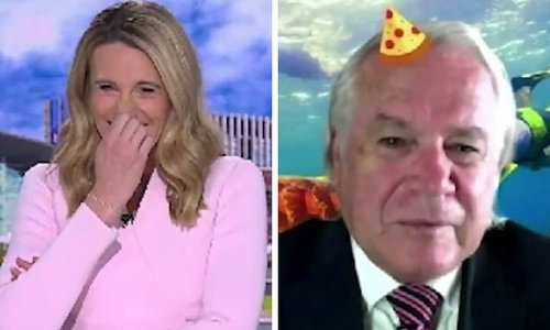 Hilarious moment TV reporter loses it in a fit of giggling after her interviewee's epic fail with a Zoom filter
