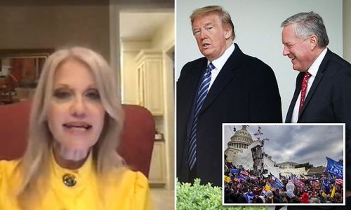 EXCLUSIVE: Kellyanne Conway insists Donald Trump 'believes he won the election' and blames Mark Meadows for Stop the Steal