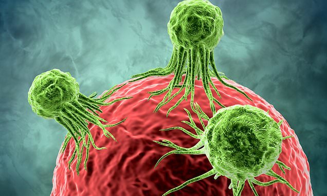 Anti-Cancer - cover