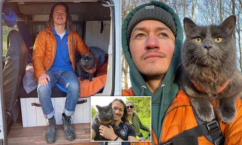 Purr-fect pairing! Meet Pōhaku the 'dog-like' adventure cat who loves hiking and biking on camping trips with his (human) dad