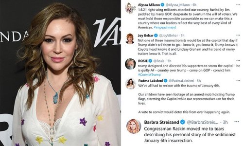 Trump-hating celebrities line up to crow about his impeachment trial