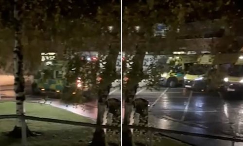 Paramedic posts shocking footage of ambulances stuck outside hospital
