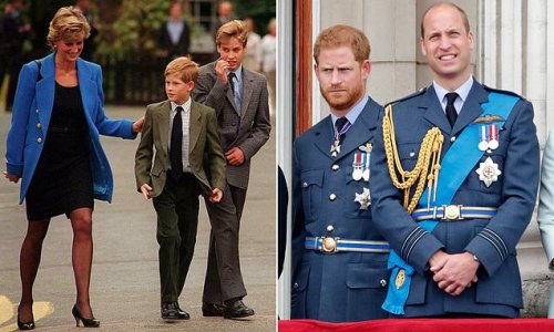 Princess Diana 'would have understood Prince William's path' in the royal family as well as being 'sympathetic' towards Prince Harry's decision to leave, biographer claims