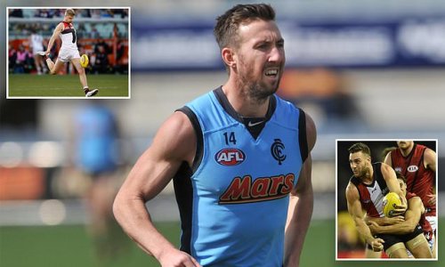 Ex-Demons star Brock McLean reveals he used cocaine and ecstasy to fill the void footy left when he retired - and he’s now using psychedelic drugs to help in his mental health battle