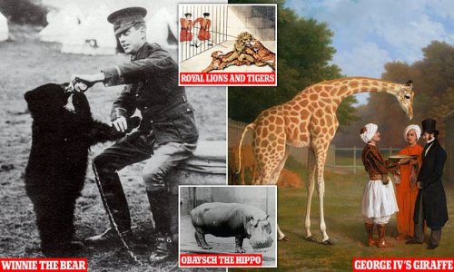 From the REAL Winnie the Pooh to the Tower of London lions and hippopotami gifted to the Queen: How...