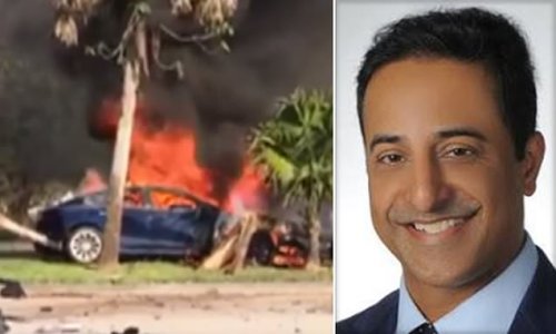 Doctor dad-of-five burned to death in his crashed Tesla because car's electronic door handles didn't pop out and rescuers couldn't get into vehicle to save him, lawsuit claims