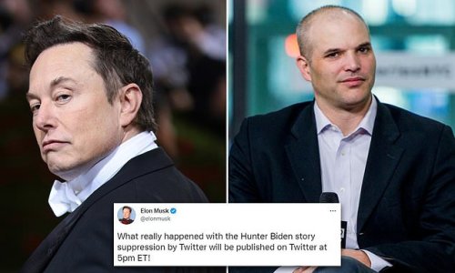 Elon Musk slams liberal media for 'deceiving the American public' and 'not being truthful' by ignoring the Hunter Biden laptop story as they set about smearing Matt Taibbi for his Twitter Files expose of censorship