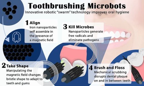 Death of the toothbrush? Swarm of shapeshifting microrobots can brush, rinse and floss your teeth all at the same time, study claims