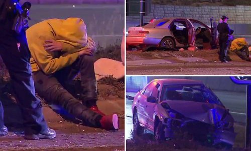 Teenager hides in a BIN after a joyride with friends in a stolen car