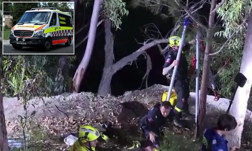 Man And Woman Miraculously Survive After Falling 12m Off A CLIFF 