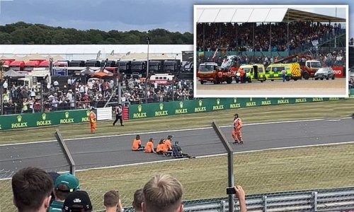 Just Stop Oil eco zealots storm Silverstone track to protest British Grand Prix before huge crash on opening lap
