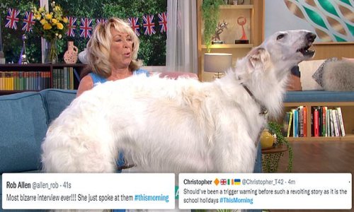 'Most bizarre interview ever!' Author Lynda La Plante, 79, leaves viewers baffled after her dog howled along to God Save the Queen on This Morning