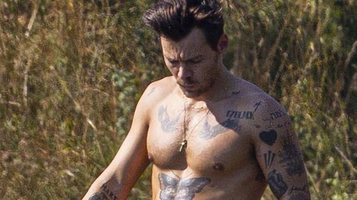 Harry Styles' gruelling pre-summer fitness routine REVEALED: Singer 'joins London boxing gym' for...