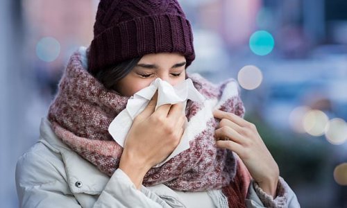 Why ARE colds more common in winter? Scientists discover an immune response inside the nose is suppressed when the temperature drops