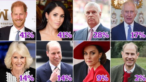 Public do not want Harry to return to royal duties as nearly half tell pollsters House of Windsor is...