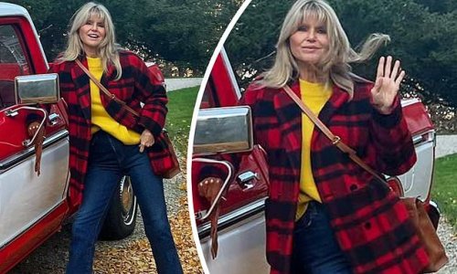 Christie Brinkley, 68, looks astonishingly youthful in skinny jeans... after sharing that eating papaya and raspberries with chia seeds keeps her slim