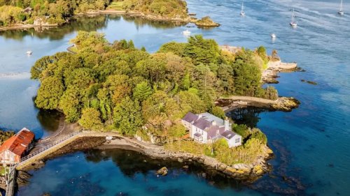 Family who bought their own island paradise may have to sell the land... because they didn't get...