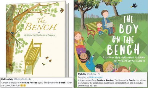 Did Meghan Markle COPY children's author with The Bench?