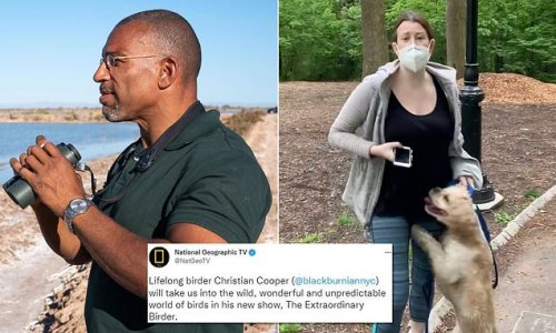 Black DC comic book artist birder who was threatened with cops by ‘Central Park Karen’ Amy Cooper after telling her to leash her dog lands birdwatching show on National Geographic