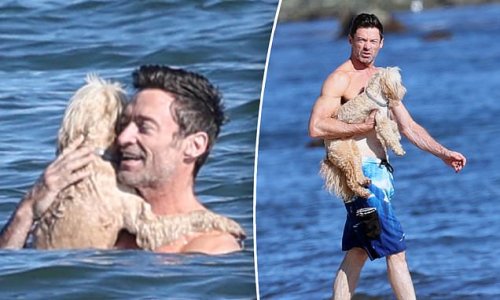 Man's best friend! Shirtless Hugh Jackman shows off his rippling muscles as he takes his pet pooch Allegra for a swim in The Hamptons after the death of his other dog Dali