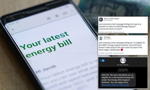 Ofgem issues warning over new energy rebate scam: Texts from fraudsters falsely tell 'vulnerable' customers they need to apply to get their £400 autumn payment