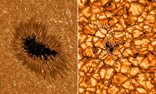 Europe's largest telescope captures stunning images of the sun showing intricate details of sunspots and plasma unlike anything researchers had seen before