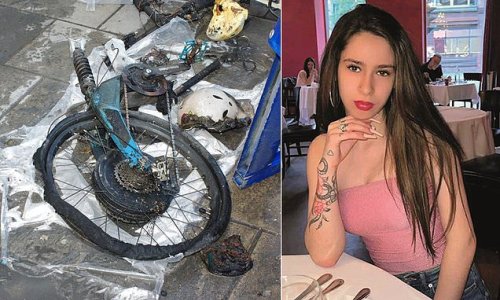 'Superstar' model, 21, was killed in horror flat fire on New Year's Day caused by converted e-bike battery bursting into flames - as her mother begs people to be aware of the dangers of the vehicles