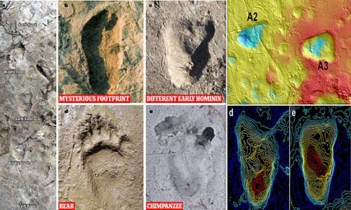 Mysterious footprints discovered in Tanzania were left by early HUMANS 3.7 million years ago - and not bears as previously thought, study claims