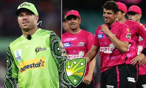 Fox Sports and Channel Seven lash out at Cricket Australia's killjoys after David Warner was fined $5,000 for making a joke about an umpire while mic'd up during Big Bash clash