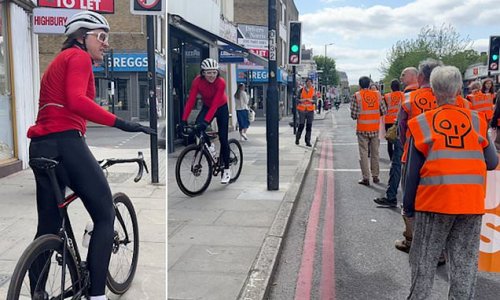 'I'm a liberal and I hate you': Moment furious cyclist scolds Just Stop Oil eco-clowns blocking London roads that they're 'hurting the green cause' with infuriating stunts