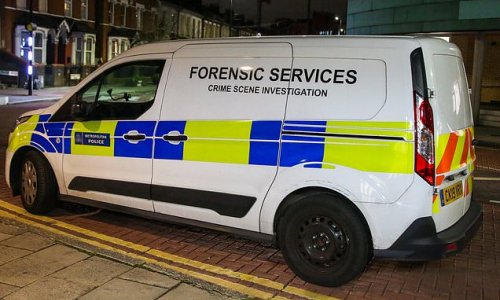 Man and woman are stabbed to death in double murder in north London
