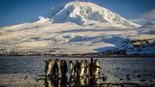 Remote Aussie island claps back at Trump tariffs with surprising new 'export'