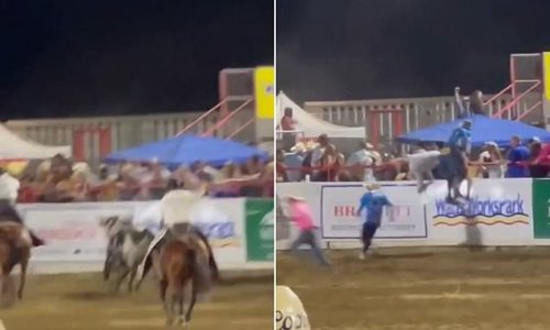 The moment a rampaging bull jumps over a fence and mows through crowds in the middle of California rodeo injuring at least six