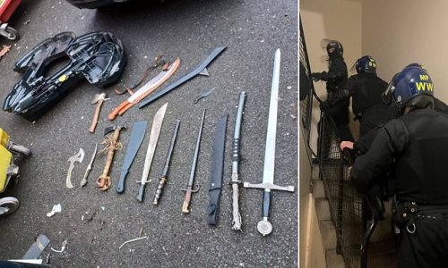 Police seize this terrifying arsenal of samurai swords, daggers and hand axes in raid on ONE property in Putney