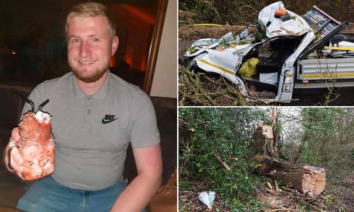 Highways worker, 23, carrying out essential work during Storm Eunice was killed when 18 ton tree fell and crushed his van as it travelled at 30mph along road