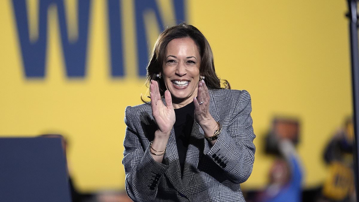 Moment Kamala Harris' Michigan Rally Crowd Goes Awkwardly Silent ...