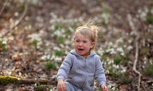 Some children find spending time in nature 'distressing' because it can trigger feelings of anxiety and despair linked to climate change
