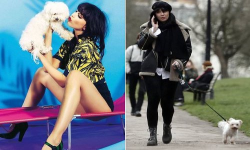 EDEN CONFIDENTIAL: Brutal attack on pet dog leaves Strictly Come Dancing star Daisy Lowe reeling