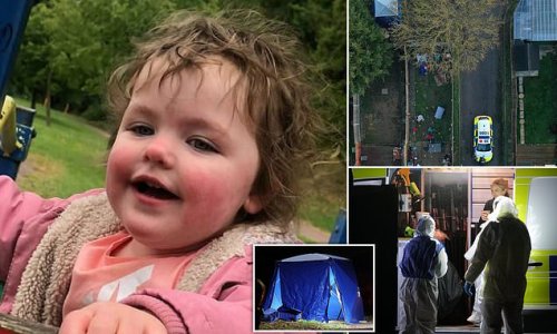 'We're just trying to come to terms with what has happened': Heartbroken family of tragic four-year-old mauled to death by 'American bulldog' in 'horrendous' garden attack pay tribute to child as police go door-to-door around shocked community