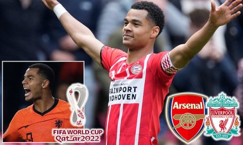 Arsenal and Liverpool target Cody Gakpo admits 'anything can happen this summer' regarding his future... but the Dutch Player of the Year insists he MUST be playing regularly ahead of World Cup in Qatar