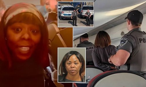 Criminal Charge Against Unruly American Airlines Passenger, 36, Is ...