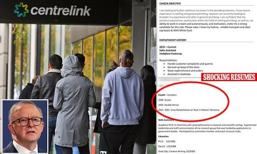 Read the ridiculous resumes employers are being bombarded with because of Centrelink rules - as recruiter says Labor's new system set to kick in in days has a BIG problem