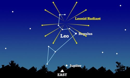 Leonid meteor shower will peak TONIGHT with up to 20 shooting stars an hour streaking across the sky