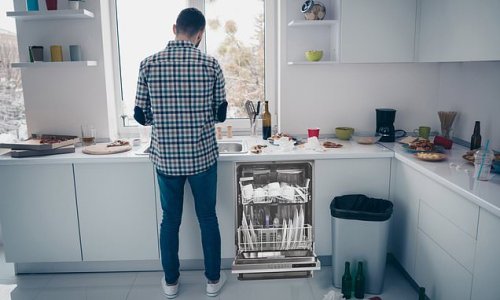 Is it cheaper to wash up by hand or use a dishwasher? We put it to the test and found one is the clear winner, costing just HALF as much