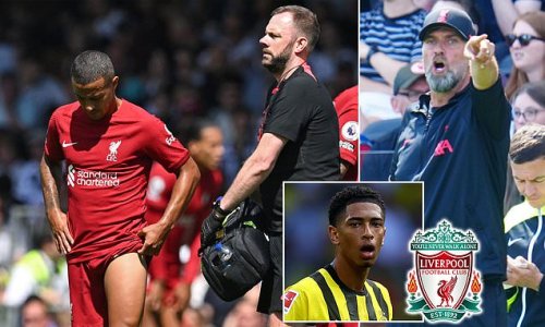 With just FIVE fit options after Thiago joined Liverpool's lengthy midfield injury list - and a gruelling 23 games in three months before the World Cup - can Jurgen Klopp REALLY risk not buying a midfielder this summer?