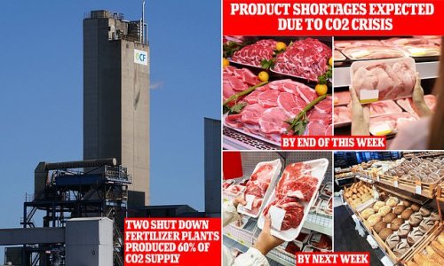'10 DAYS' to fix CO2 crisis, warns Food and Drink Federation boss