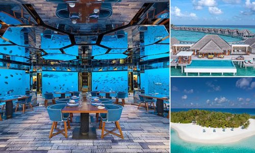 Think a visit to the Maldives would be boring? Think again: From spectacular marine life to an underwater restaurant, inside two luxury resorts in the archipelago guaranteed to thrill